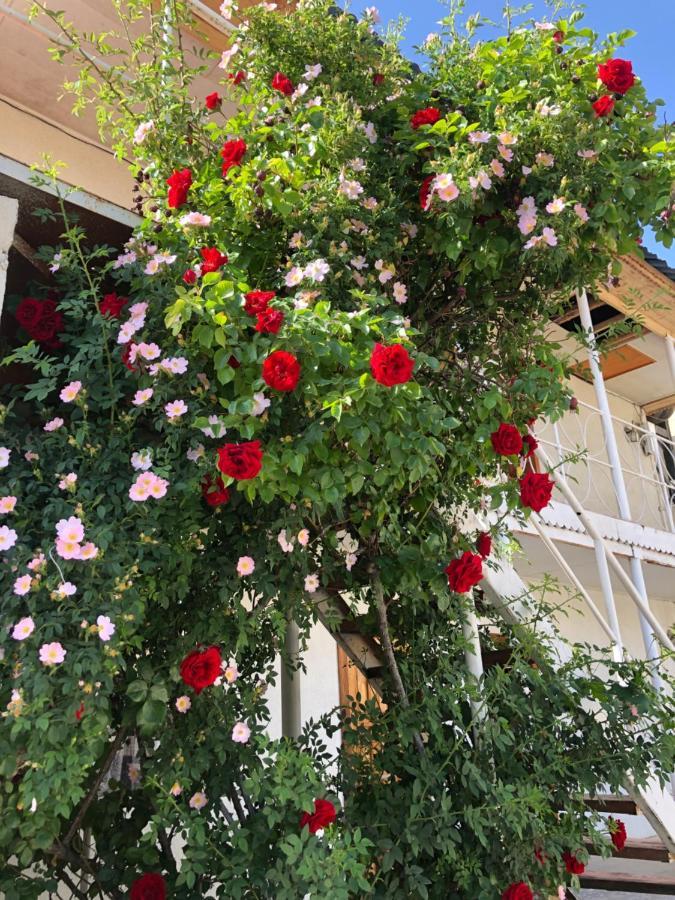 Гостевой Дом Айша Guest House Aisha Czołponata Zewnętrze zdjęcie